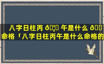 八字日柱丙 🦁 午是什么 🌴 命格「八字日柱丙午是什么命格的」